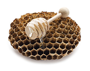 Image showing Honey