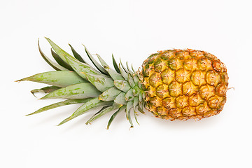 Image showing Pineapple