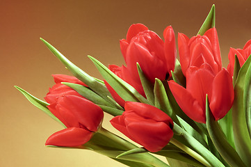 Image showing Tulips