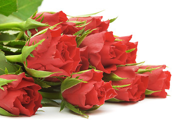 Image showing Red roses