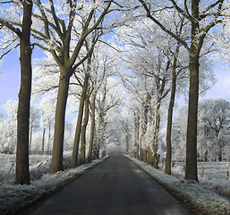 Image showing Winter Belgium