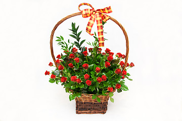 Image showing Red roses