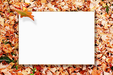 Image showing Autumn Frame