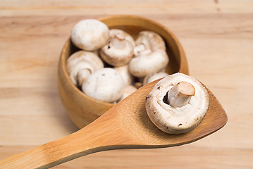 Image showing Mushrooms