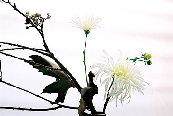 Image showing flower arrangement