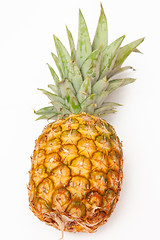 Image showing Pineapple