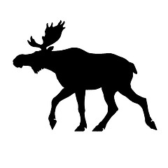 Image showing Roadsign moose