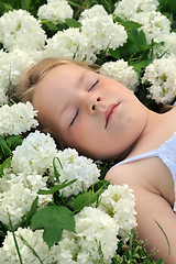 Image showing Little girl laying in flowers - snowball