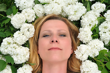 Image showing Young woman laying in flowers - snowballs