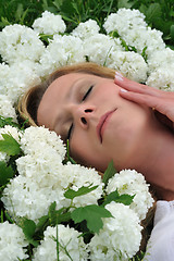 Image showing Young woman laying in flowers - snowballs