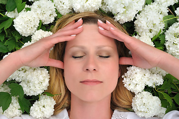 Image showing Young woman laying in flowers - snowballs