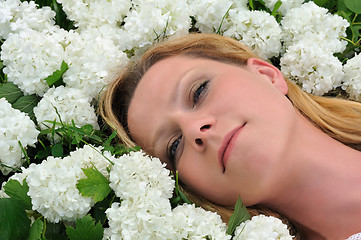 Image showing Young woman laying in flowers - snowballs