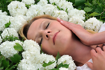 Image showing Young woman laying in flowers - snowballs