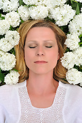 Image showing Young woman laying in flowers - snowballs