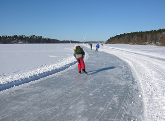 Image showing Skating