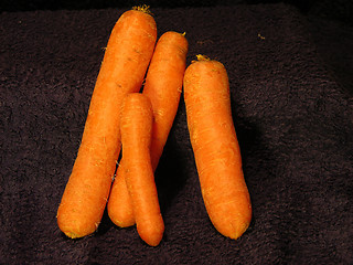 Image showing Carrot 2