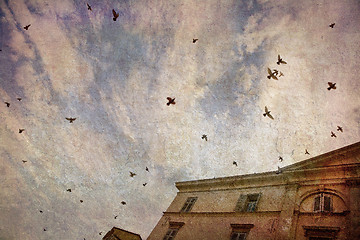 Image showing Birds against the sky