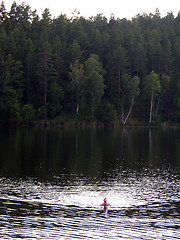 Image showing Swimming