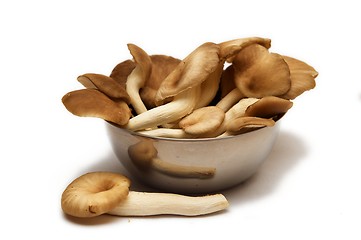 Image showing Group of raw mushrooms.
