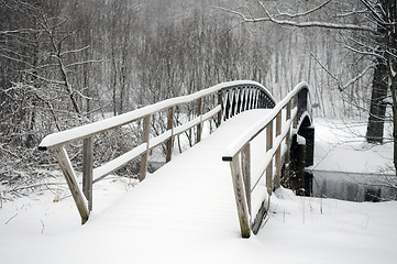 Image showing Snow Bridge