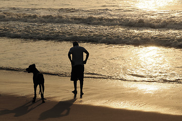 Image showing Morning Walk