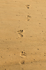 Image showing Footsteps