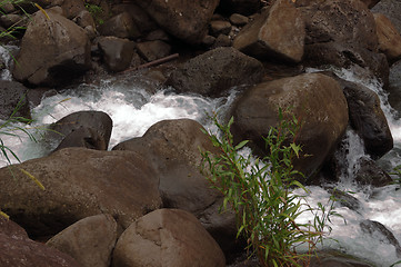 Image showing Stream