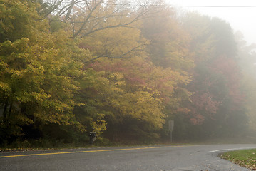 Image showing Fall Foliage