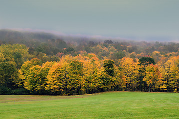 Image showing Fall Foliage