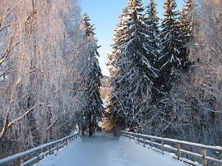 Image showing Winterlandscape Norway