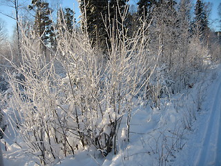 Image showing Winterlandscape Norway