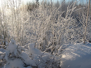 Image showing Winterlandscape Norway