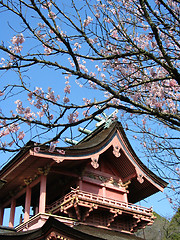 Image showing Sengen Jinja II