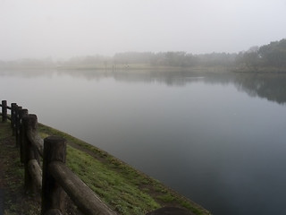 Image showing Misty Morning Lake