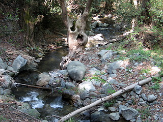 Image showing River turn. Platres. Cyprus