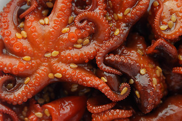 Image showing Marinated baby octopuses