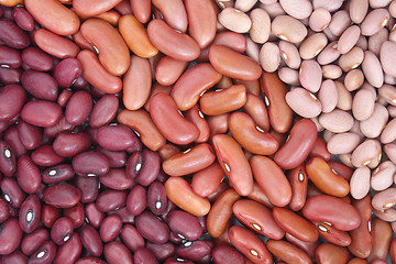 Image showing Three sorts of beans