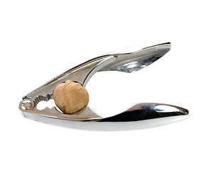 Image showing Nutcracker With Walnut