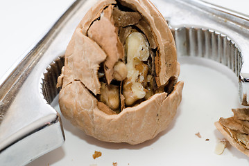 Image showing Cracked Walnut