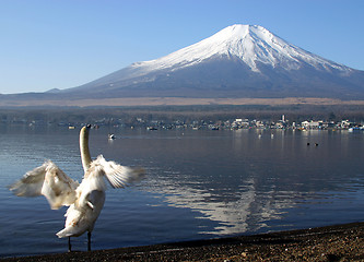 Image showing Bird enjoying View