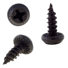 Image showing black metal screw