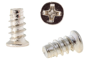 Image showing white zinc screw