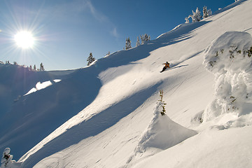 Image showing Sunny winter