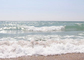 Image showing Sea shore