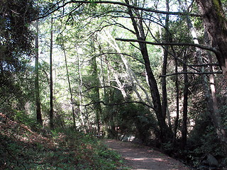 Image showing The path of nature. Platres. Cyprus