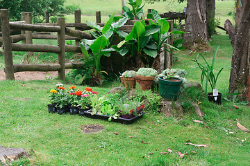 Image showing Garden.