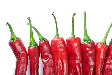 Image showing Chili Pepper Queue