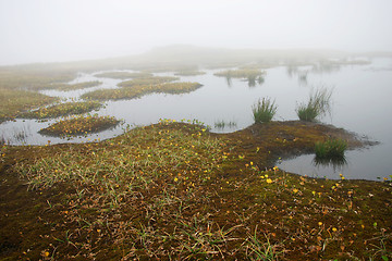 Image showing Misty Pond