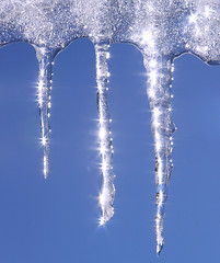 Image showing Icicles