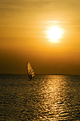 Image showing Windsurfer